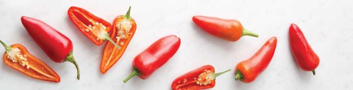 Fermented Hot Sauce Peppers